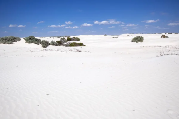 Immagine Dune Bianche Paesaggio Sabbia Occidentale Australia — Foto Stock