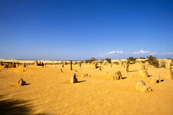 Une Image Désert Sable Des Pinnacles Australie Occidentale — Photo