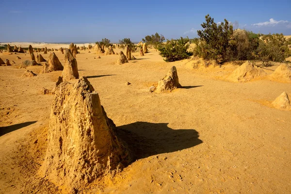 西澳大利亚Pinnacles沙漠的图像 — 图库照片