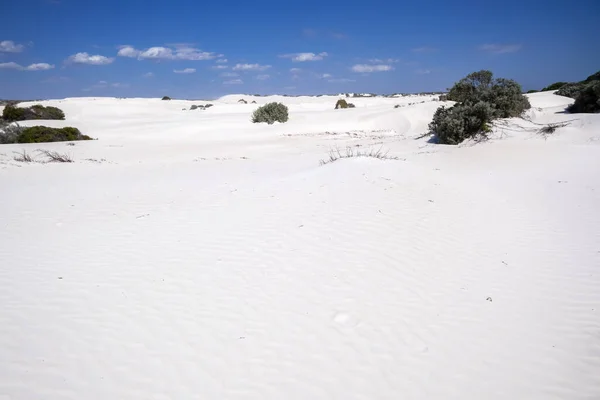 澳大利亚西部白色沙丘风景的图像 — 图库照片