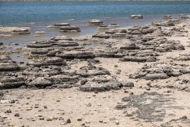 Stromatolites Gölü 'nün bir görüntüsü Batı Avustralya