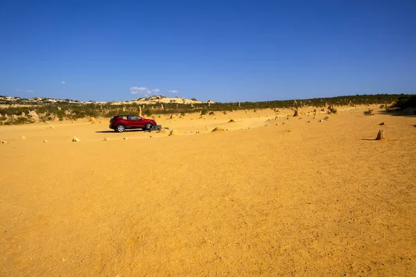 Une Image Désert Sable Des Pinnacles Australie Occidentale — Photo
