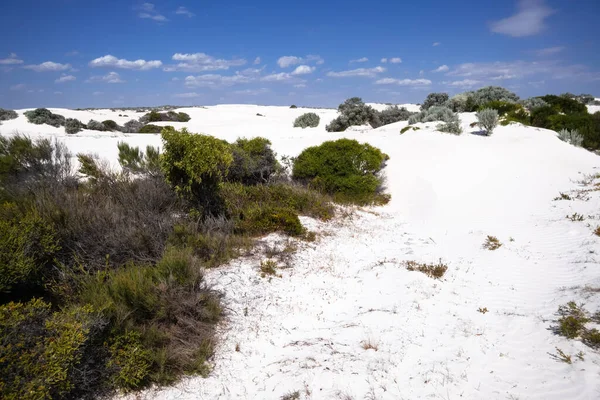Batı Avustralya Nın Beyaz Kum Manzarasının Bir Görüntüsü — Stok fotoğraf