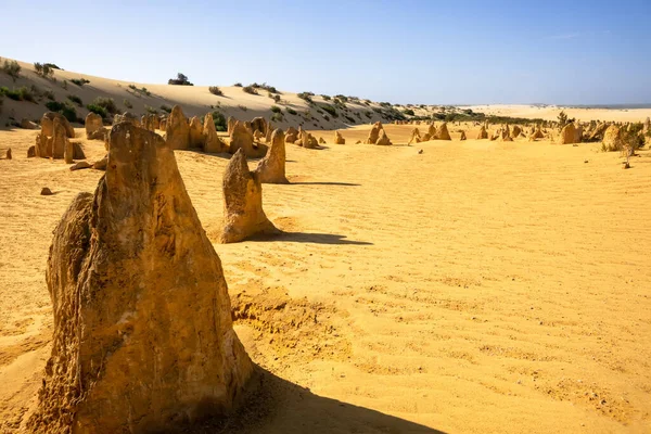 Image Pinnacles Sand Desert Western Australia — Stock Photo, Image