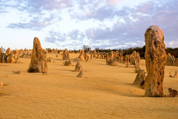 Image Beautiful Pinnacles Desert Western Australia — Stock Photo, Image