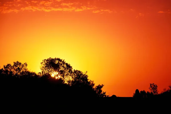 Immagine Bellissimo Tramonto Nell Entroterra Australiano — Foto Stock