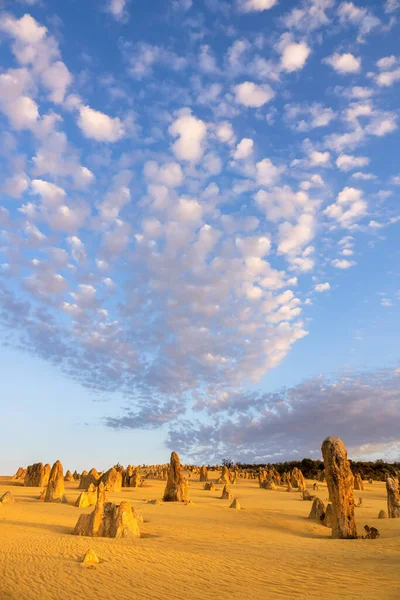 Batı Avustralya Daki Güzel Pinnacles Çölü Nün Görüntüsü — Stok fotoğraf