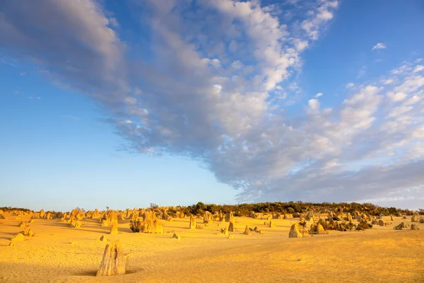 Ein Bild Der Wunderschönen Pinnacles Desert Westaustralien — Stockfoto