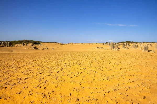 Une Image Désert Sable Des Pinnacles Australie Occidentale — Photo