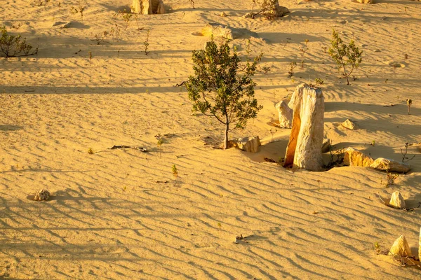 Image Beautiful Pinnacles Desert Western Australia — Stock Photo, Image