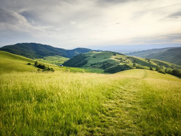 Image Green Meadow Path Horizon — Stock Photo, Image