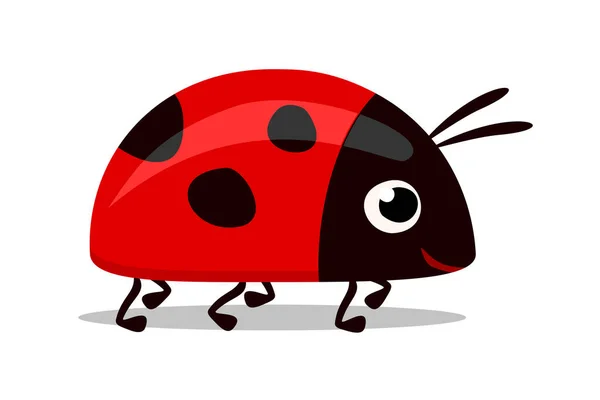 Illustration Sweet Red Lady Bug — Stock Vector