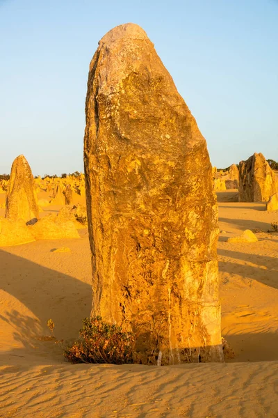 Image Beautiful Pinnacles Desert Western Australia — Stock Photo, Image