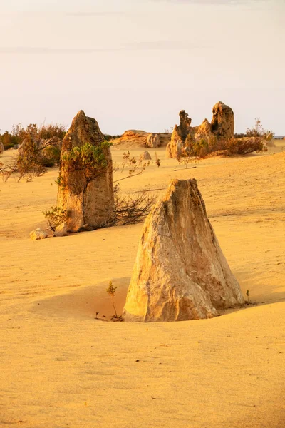 Batı Avustralya Daki Güzel Pinnacles Çölü Nün Görüntüsü — Stok fotoğraf