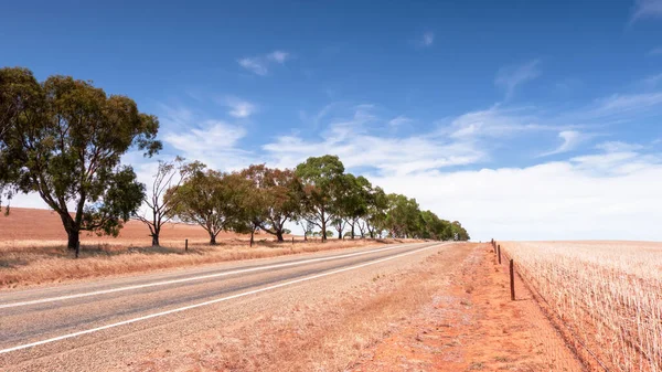 Uma Imagem Uma Estrada Sul Austrália Seco — Fotografia de Stock