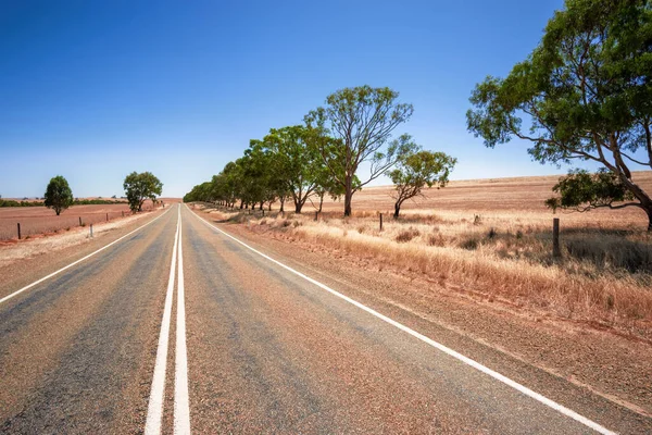 Das Bild Einer Straße Trockenen Süden Australiens — Stockfoto