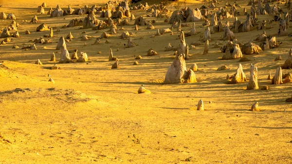 Immagine Del Bellissimo Deserto Pinnacles Nell Australia Occidentale — Foto Stock