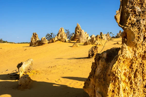 Image Beautiful Pinnacles Desert Western Australia — Stock Photo, Image