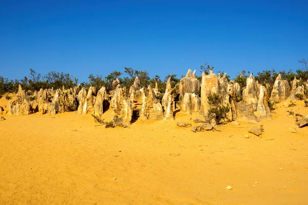 Image Beautiful Pinnacles Desert Western Australia — Stock Photo, Image