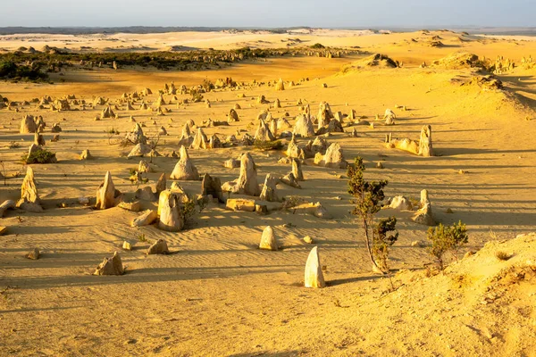 Batı Avustralya Daki Güzel Pinnacles Çölü Nün Görüntüsü — Stok fotoğraf