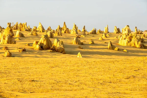 Een Afbeelding Van Prachtige Pinnacles Desert West Australië — Stockfoto