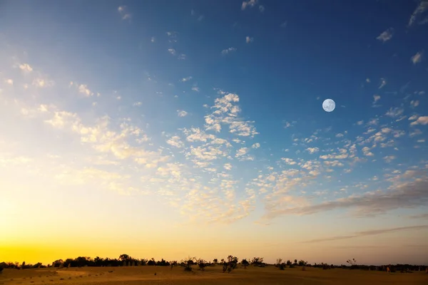 Das Bild Eines Sonnenuntergangs Der Wüste — Stockfoto
