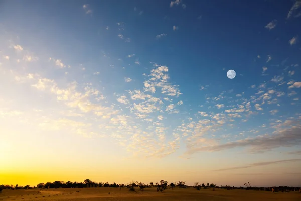 Bild Solnedgång Öknen — Stockfoto