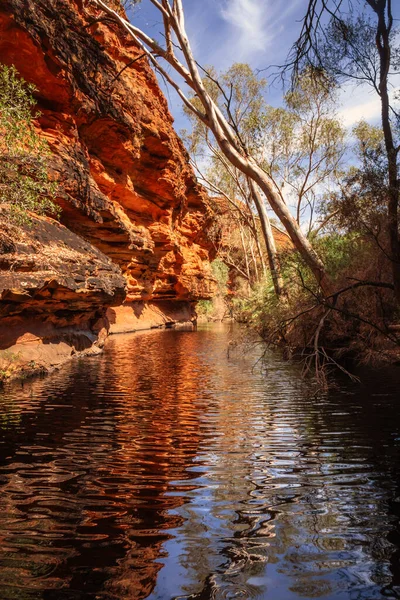 Bild Kings Canyon Centrala Australien — Stockfoto