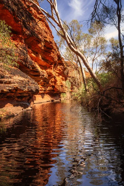 Ein Bild Des Kings Canyon Zentralaustralien — Stockfoto