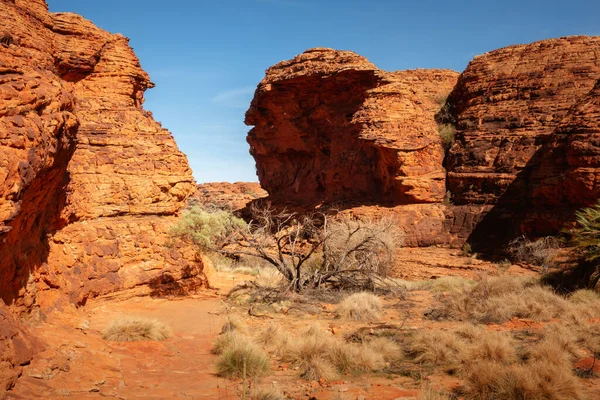 Obraz Kings Canyon Centru Austrálie — Stock fotografie