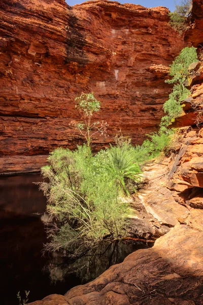 Image Kings Canyon Center Australia — Stock Photo, Image