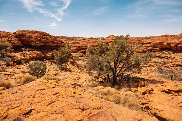 Ein Bild Des Kings Canyon Zentralaustralien — Stockfoto