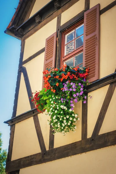 Obraz Květin Polotřískovém Okně Domu — Stock fotografie