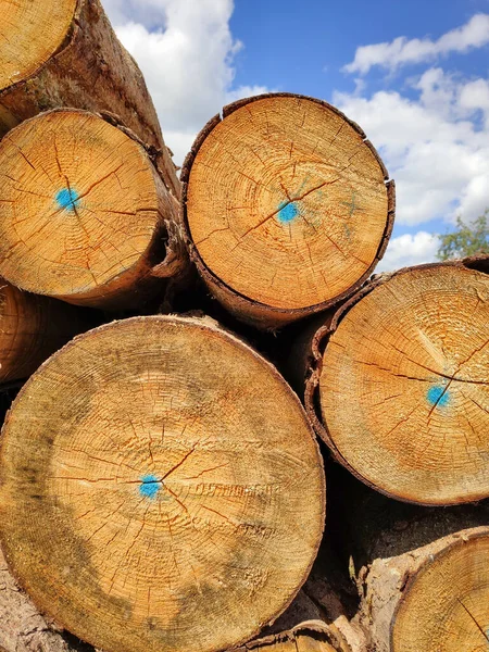 Das Bild Eines Holzstapels Mit Blauen Punkten — Stockfoto