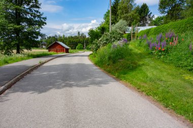 Köye giden yol.