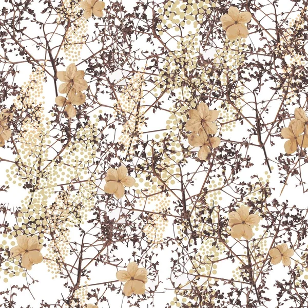 Flowers of hydrangea climbing plant in dark brown and beige colors seamless pattern on white background