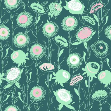 El çizilmiş Aster çiçekleri