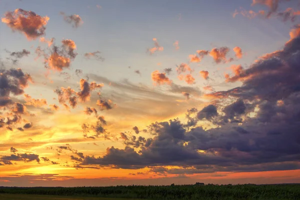 Vacker Solnedgång Med Lila Moln Över Sädesfält — Stockfoto