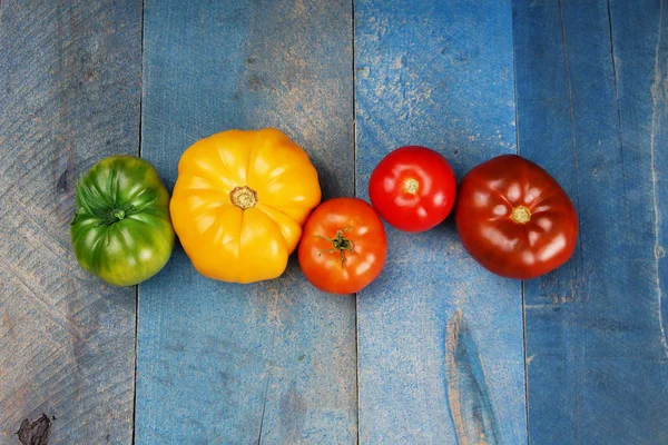 Belle Rangée Tomates Vertes Jaunes Orange Rouges Colorées — Photo