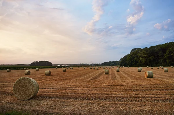 ちょっとベルギー 欧州連合で圃場のスタックします 夕日に広い平坦な土地 田舎の生活と近代農業の組み合わせ — ストック写真