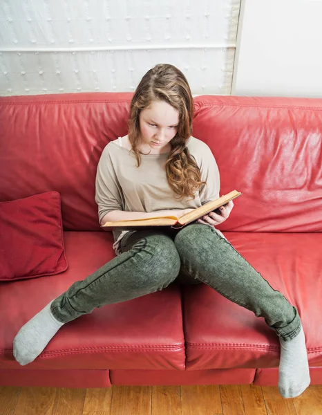 Tinédzser lány olvasókönyv Stock Kép