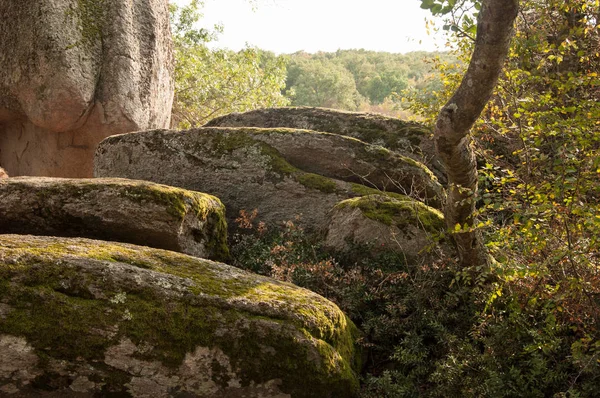 Detail Beglik Tash Prehistoric Rock Sanctuary Situated Black Sea Coast — Stock Photo, Image