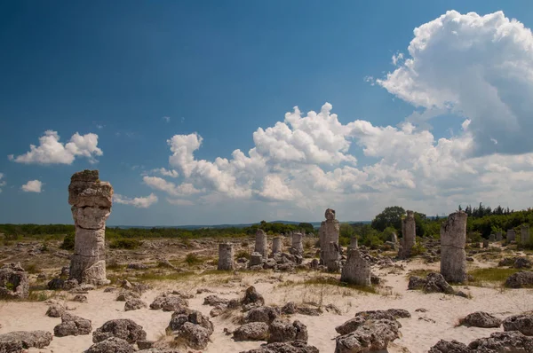 Pobiti Kamani Камінь Лісі Біля Міста Варна Болгарія — стокове фото