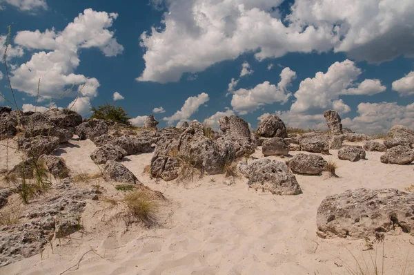 Vzdáleného Kamani Stone Lesa Nedaleko Varna Bulharsko — Stock fotografie