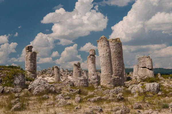 Pobiti Kamani Stone Forest Varna Bulgaria — Stock Photo, Image