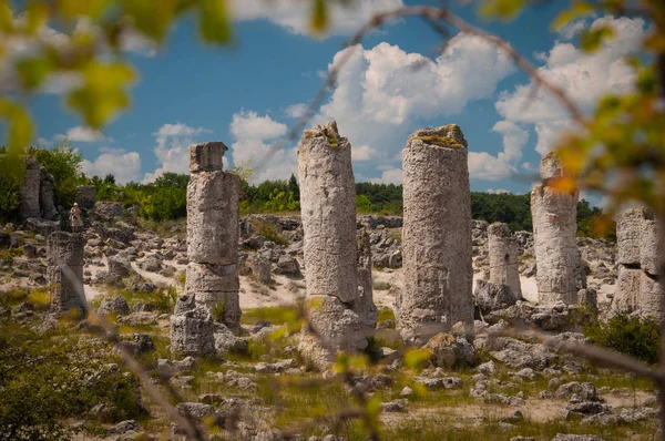 Pobiti Kamani Hutan Batu Dekat Varna Bulgaria — Stok Foto