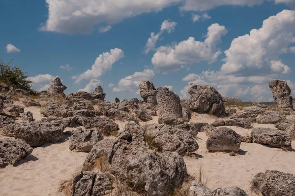 Vzdáleného Kamani Stone Lesa Nedaleko Varna Bulharsko Stock Obrázky
