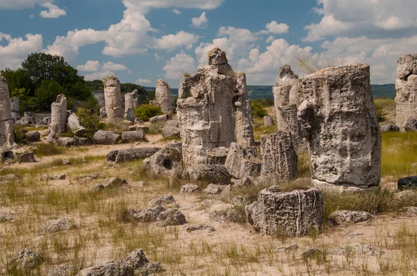 Vzdáleného Kamani Stone Lesa Nedaleko Varna Bulharsko Royalty Free Stock Obrázky