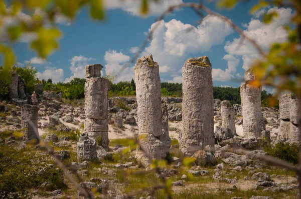 Vzdáleného Kamani Stone Lesa Nedaleko Varna Bulharsko Stock Snímky