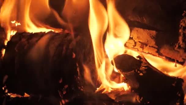 Огонь Большим Пламенем — стоковое видео